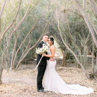 Bridal Photography in the olive grove 