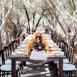 Dinner in the Olive Grove