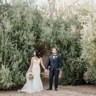 Las Vegas Elopement in the Olive Grove with Cactus Collective weddings