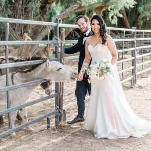 Farm Wedding with Donkeys in Las Vegas