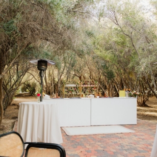 Secret garden vibes in the las vegas olive grove wedding venue