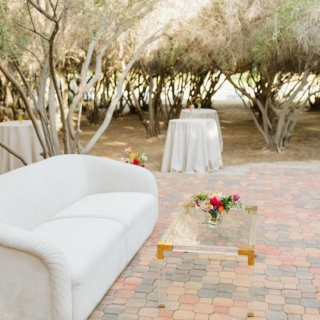 Velvet and vintage inspired wedding cocktail party in the las vegas olive grove