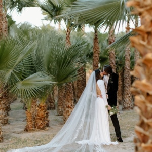 Dreamy bridal photography in a las vegas palm tree nursery at greengale farms