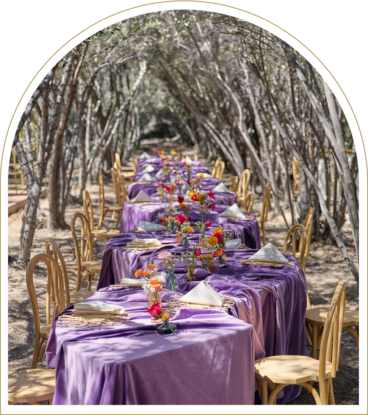 Magical Olive grove Outdoor Wedding event space las vegas